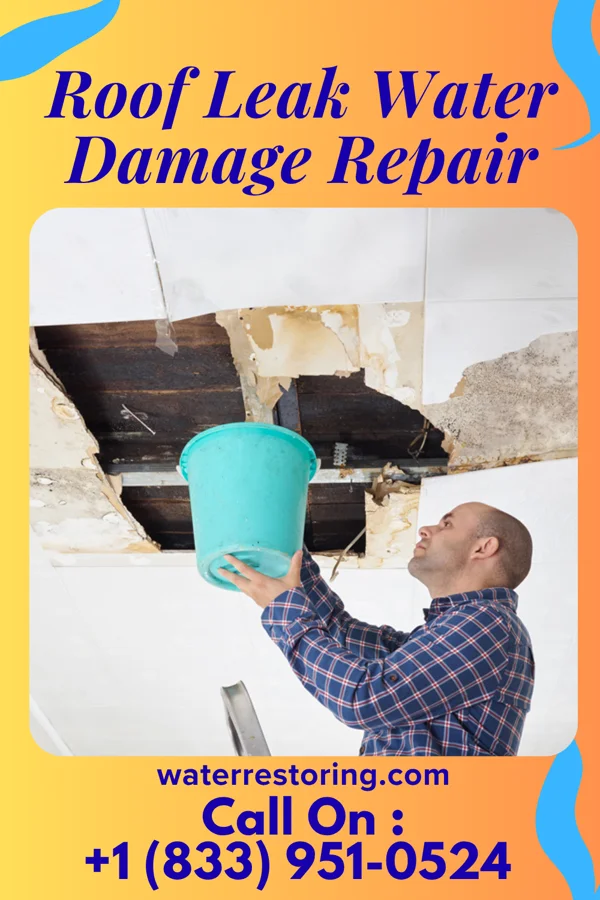 Roof Leak Water Damage Repair in Dayton, MN